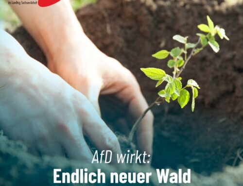 AfD wirkt: Endlich neuer Wald in Bitterfeld-Wolfen gepflanzt!