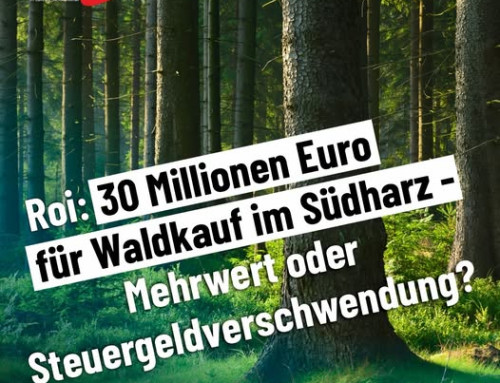 Roi: 30 Millionen Euro für Waldkauf im Südharz – Mehrwert oder Steuergeldverschwendung?