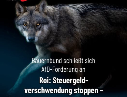 Roi: Steuergeldverschwendung stoppen – Wolfskompetenzzentrum abschaffen!