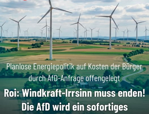 Roi: Windkraft-Irrsinn muss enden! Die AfD wird ein sofortiges Moratorium einrichten!
